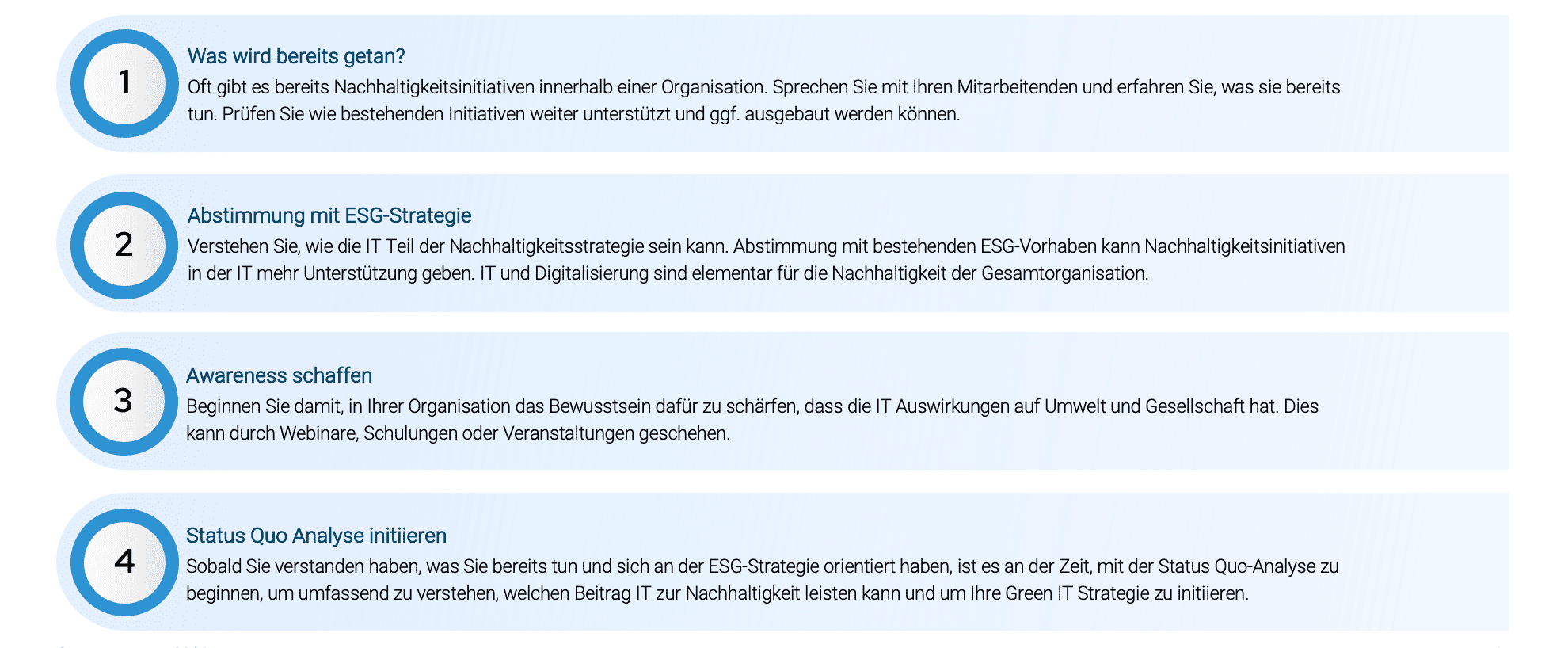 neoverv Erste Schritte einer Green IT Strategie